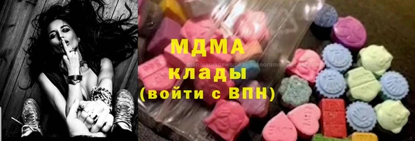 мет Алексин