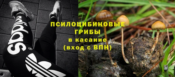 мет Алексин