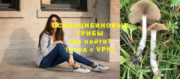 амф Алзамай