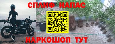 ПСИЛОЦИБИНОВЫЕ ГРИБЫ Гусев