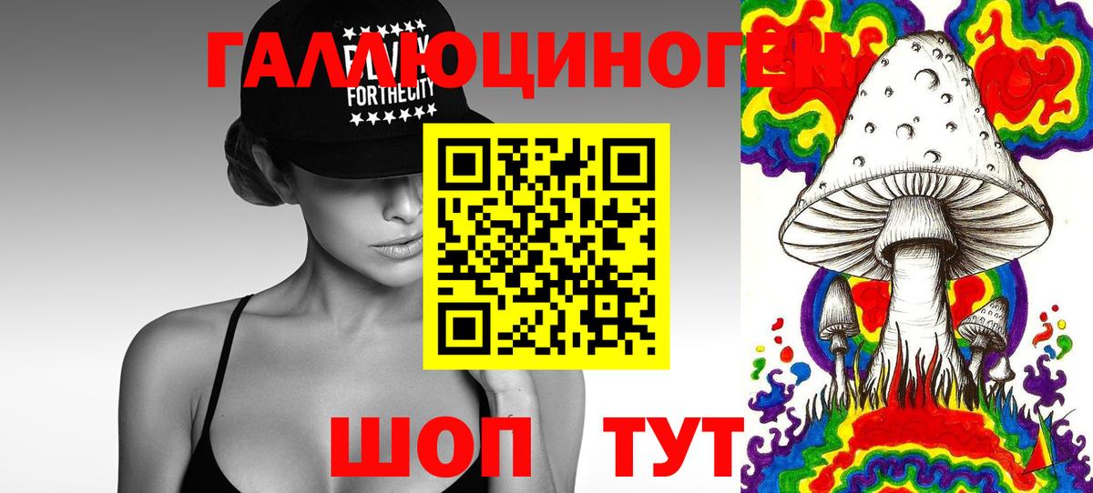 Псилоцибиновые грибы мицелий Калач-на-Дону
